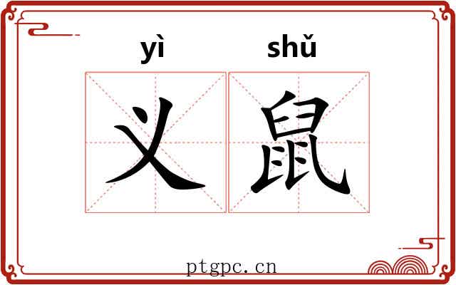 义鼠 义鼠