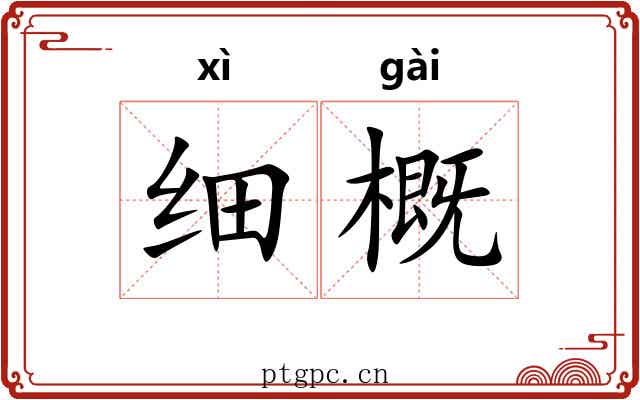细概