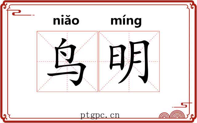 鸟明 鸟明