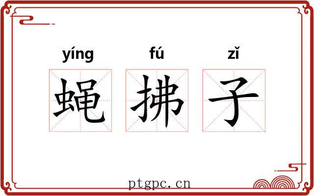 蝇拂子 蝇拂子