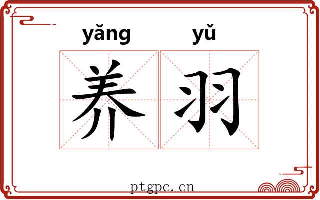 养羽 养羽