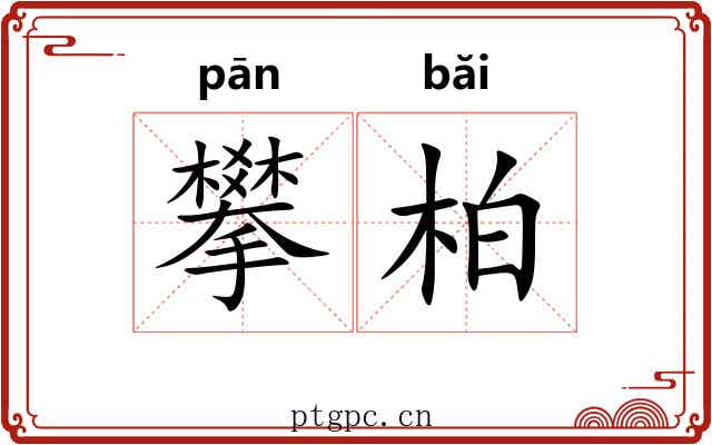 攀柏
