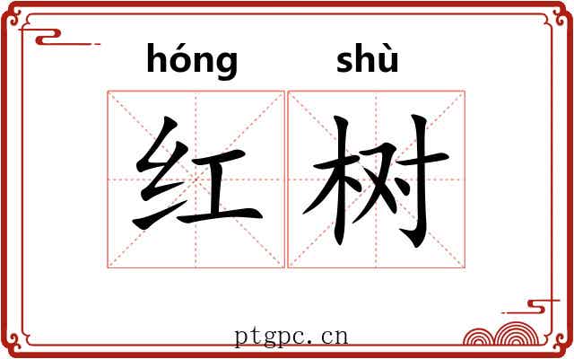 红树 红树