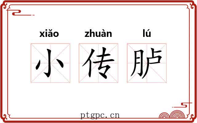 小传胪 小传胪