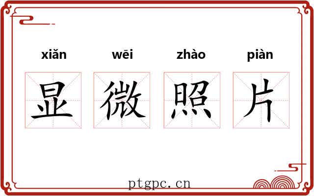 显微照片 显微照片