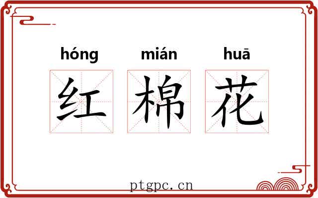 红棉花