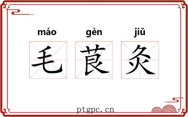 毛茛灸