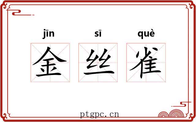 金丝雀