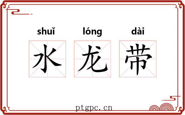 水龙带 水龙带