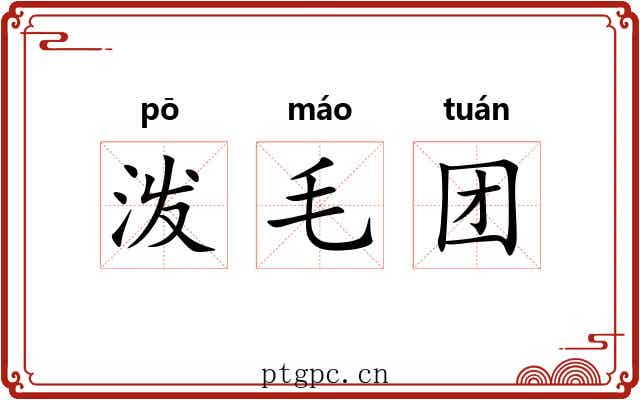 泼毛团 泼毛团