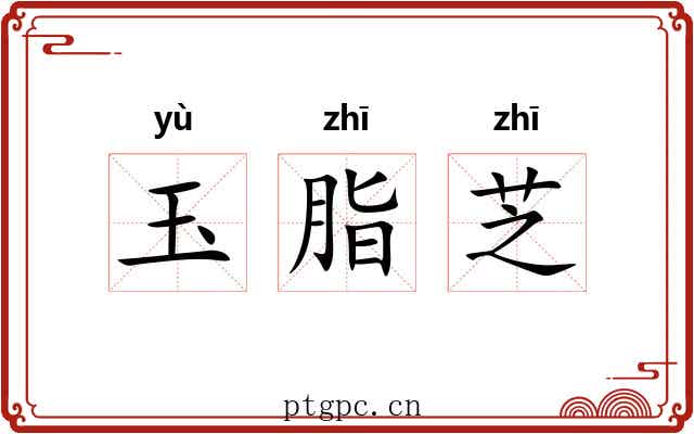 玉脂芝
