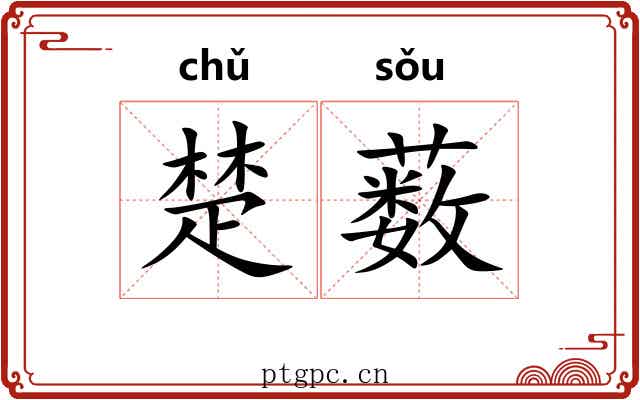 楚薮