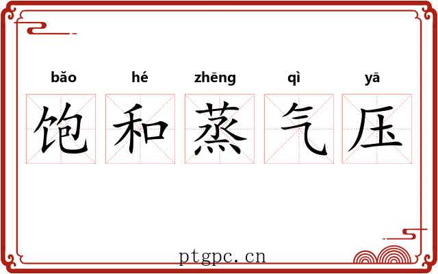 饱和蒸气压 饱和蒸气压