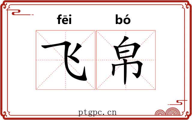 飞帛