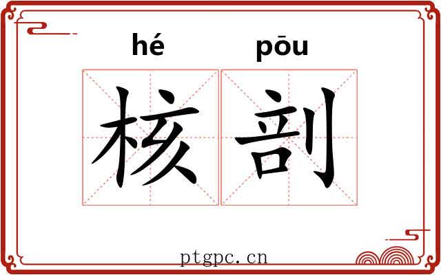 核剖