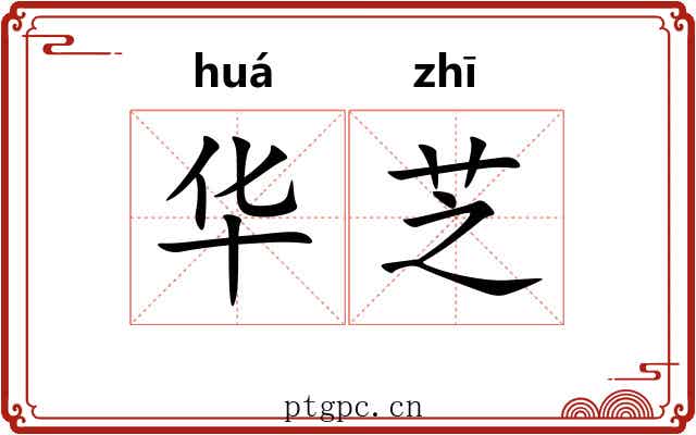 华芝