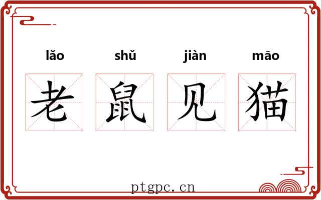 老鼠见猫 老鼠见猫
