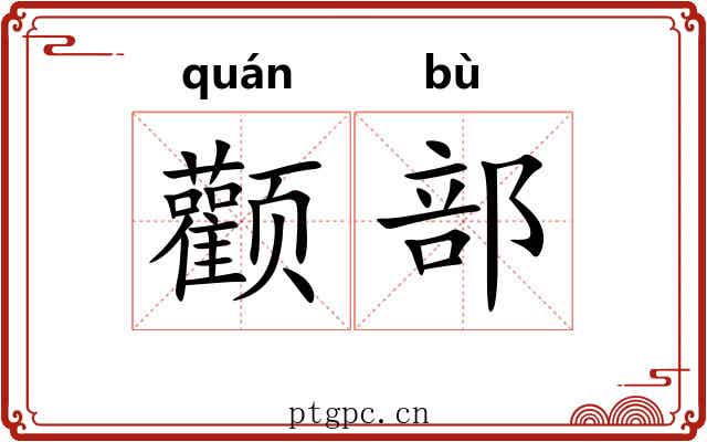 颧部