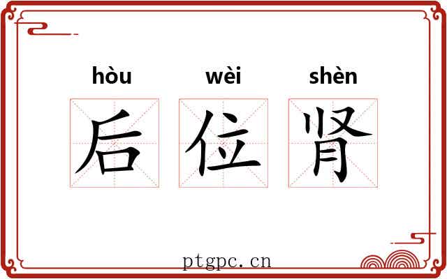 后位肾 后位肾