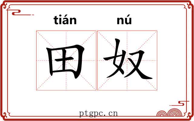 田奴