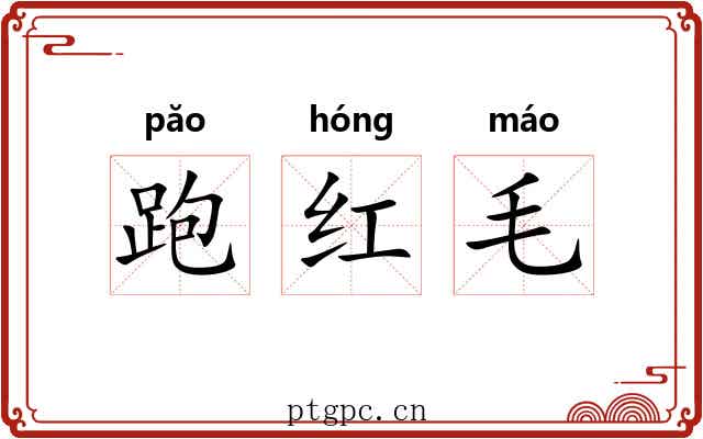 跑红毛 跑红毛
