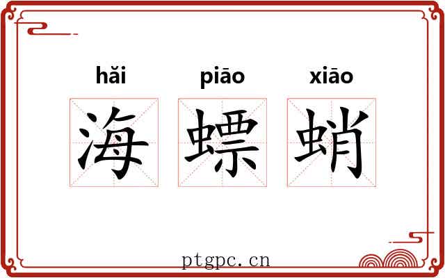 海螵蛸 海螵蛸