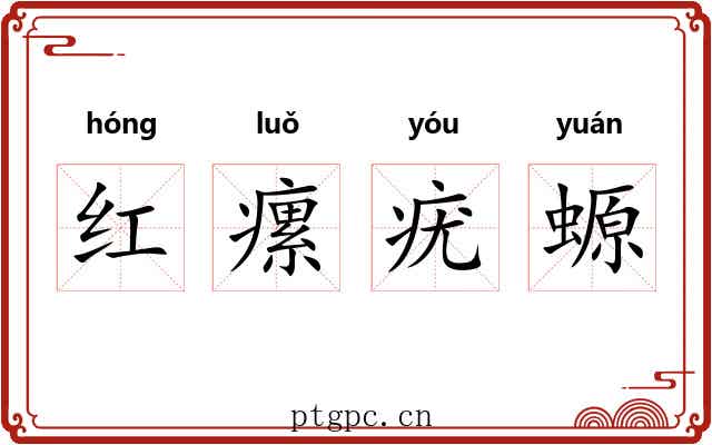 红瘰疣螈