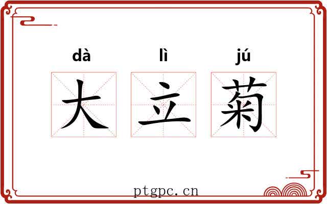 大立菊
