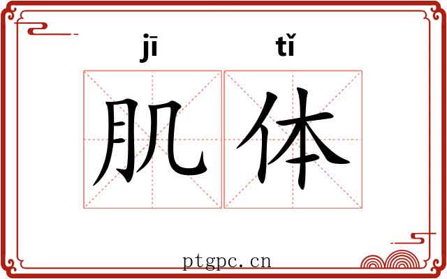 肌体 肌体