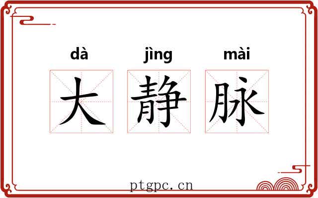 大静脉 大静脉
