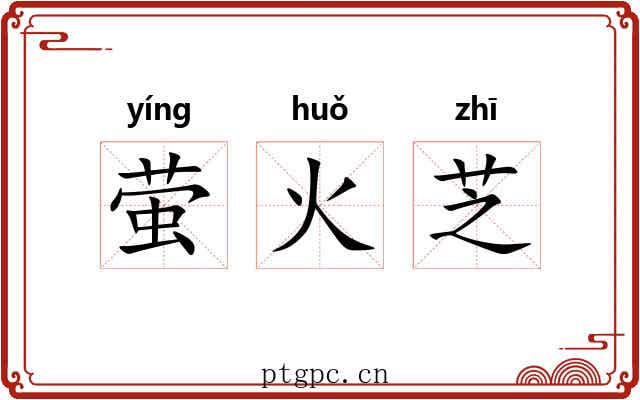 萤火芝