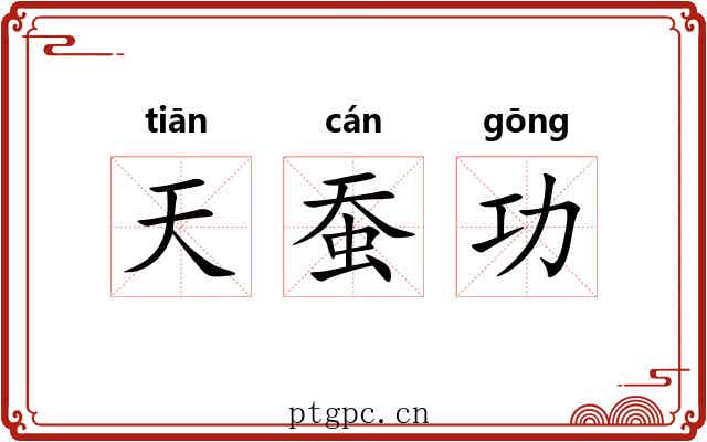 天蚕功