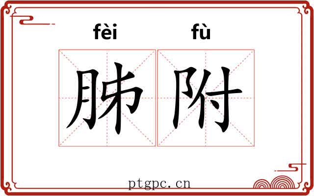 胏附
