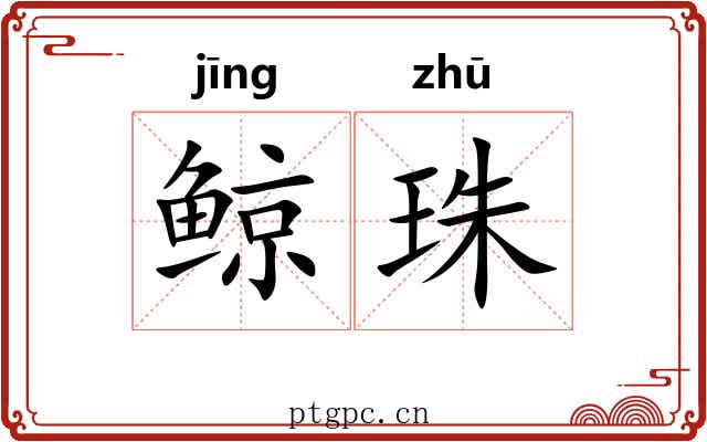 鲸珠 鲸珠