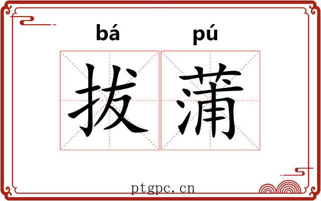 拔蒲