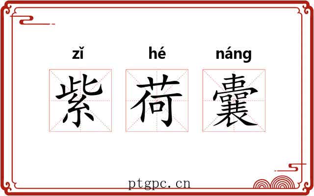 紫荷囊