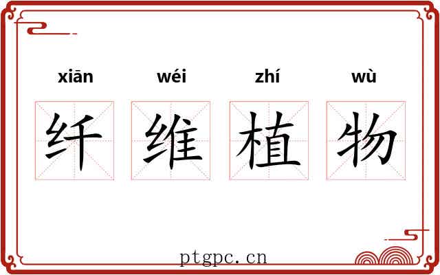 纤维植物 纤维植物