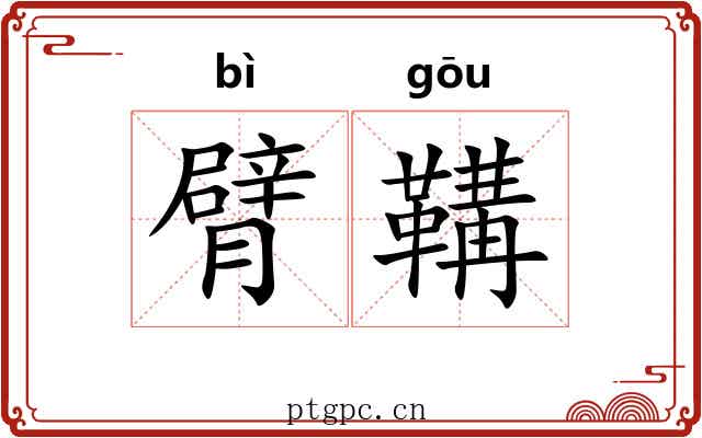 臂鞲 臂鞲