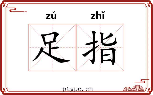足指 足指