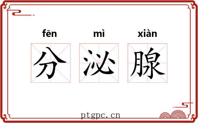 分泌腺 分泌腺