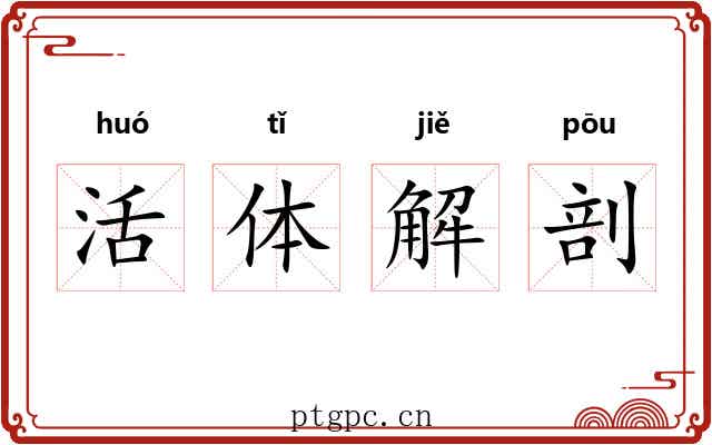 活体解剖