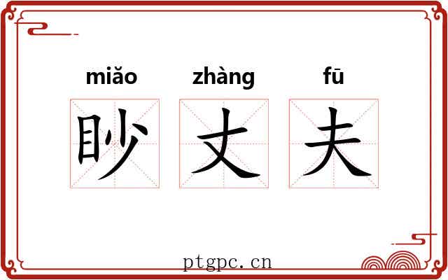 眇丈夫
