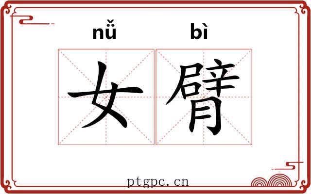 女臂