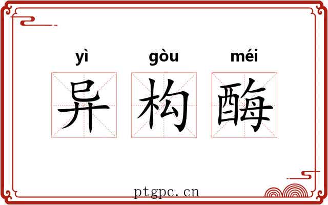 异构酶
