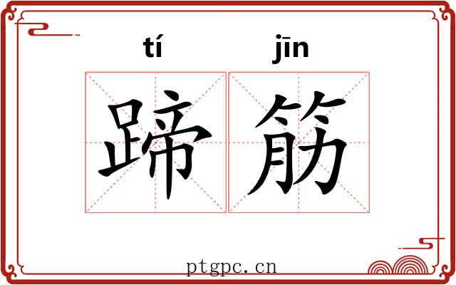 蹄筋