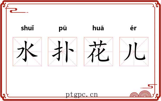 水扑花儿