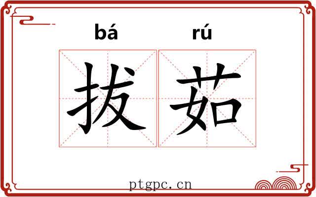 拔茹