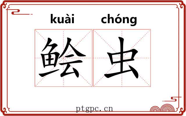 鲙虫
