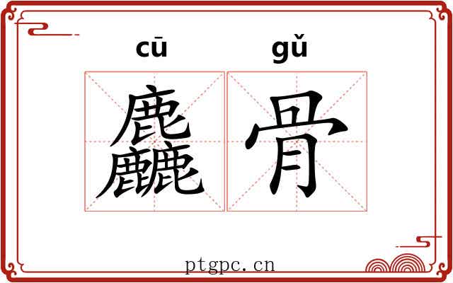 麤骨 麤骨