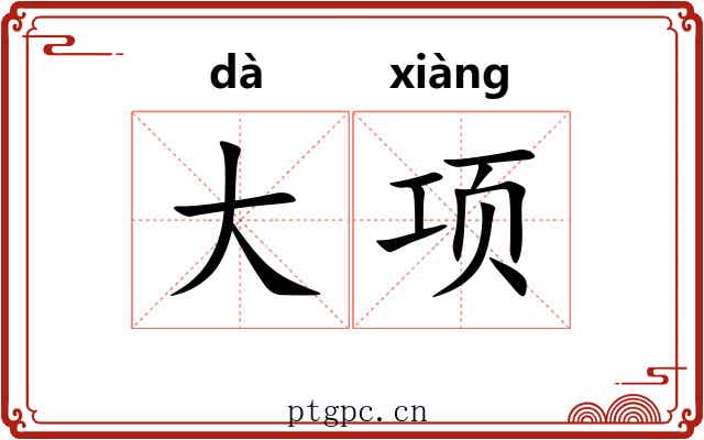 大项 大项